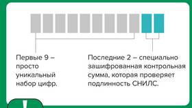 Что означают цифры в СНИЛС в Честер
