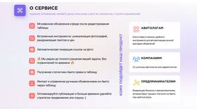 Что такое масс постинг на Авито в Честер