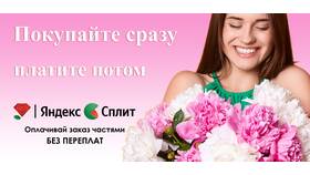 Что такое оплата через Яндекс Сплит в Честер
