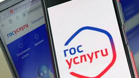 Что такое страховые взносы в Госуслугах в Честер