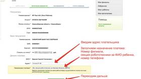 Что указывать в назначении платежа при возврате в Честер
