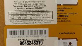 Как активировать SIM-карту Билайн на телефоне в Честер