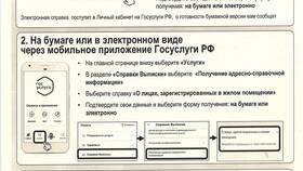 Как оформить домовую книгу через Госуслуги в Честер