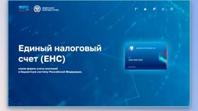 Как оплатить единый налог в Честер