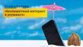 Как отключить мобильный интернет Билайн в Честер