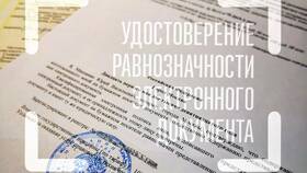 Как получить электронную доверенность через Госуслуги в Честер