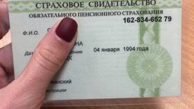 Как проводится анализ СНИЛС в Честер