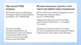 Как самозанятому зарегистрировать ИП на налоге на профессиональный доход (НПД) в Честер