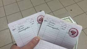 Как внести отметку о детях в паспорт в Честер