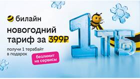 Почему Билайн не подключает тариф в Честер