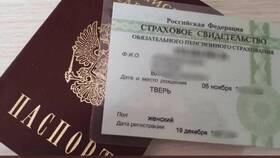 Почему СНИЛС не найден в базе СФР в Честер