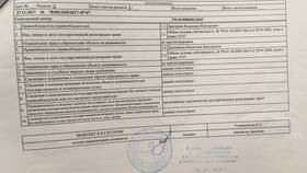 Расширенная выписка по счету: что это в Честер