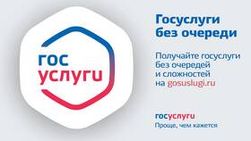 Зачем банку доступ к Госуслугам в Честер