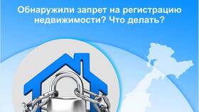 Запрещение регистрации в выписке ЕГРН: что это означает в Честер