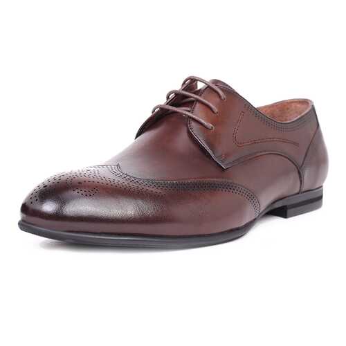 Туфли мужские Pierre Cardin 710017789 коричневые 40 RU в Честер